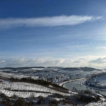 Gastehaus Und Weingut Bernd Frieden Ξενοδοχείο Nittel Εξωτερικό φωτογραφία