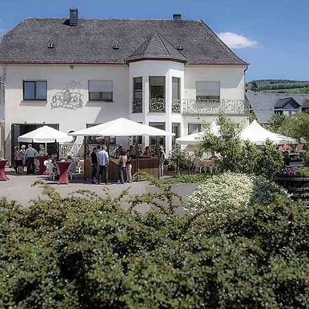 Gastehaus Und Weingut Bernd Frieden Ξενοδοχείο Nittel Εξωτερικό φωτογραφία