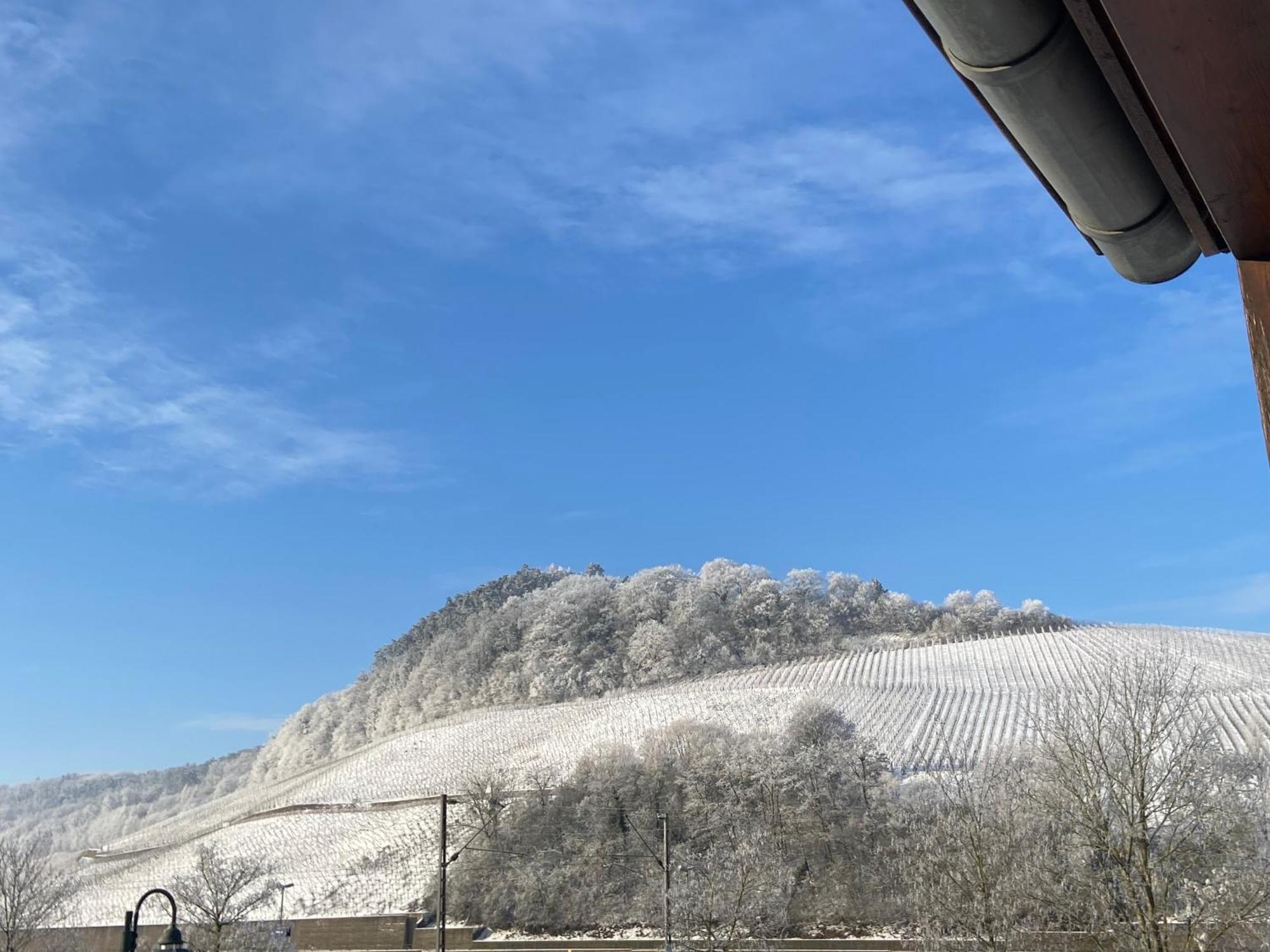 Gastehaus Und Weingut Bernd Frieden Ξενοδοχείο Nittel Εξωτερικό φωτογραφία