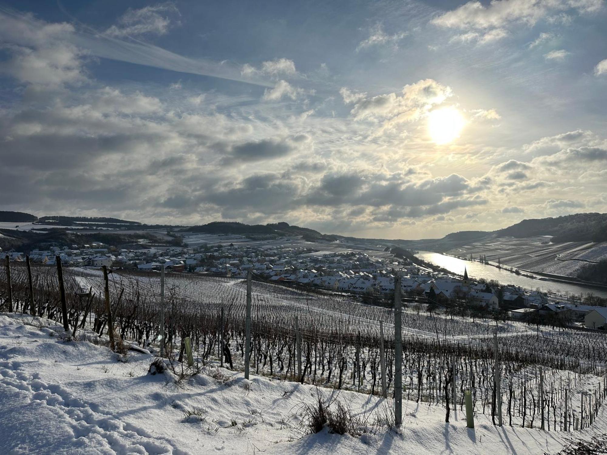 Gastehaus Und Weingut Bernd Frieden Ξενοδοχείο Nittel Εξωτερικό φωτογραφία