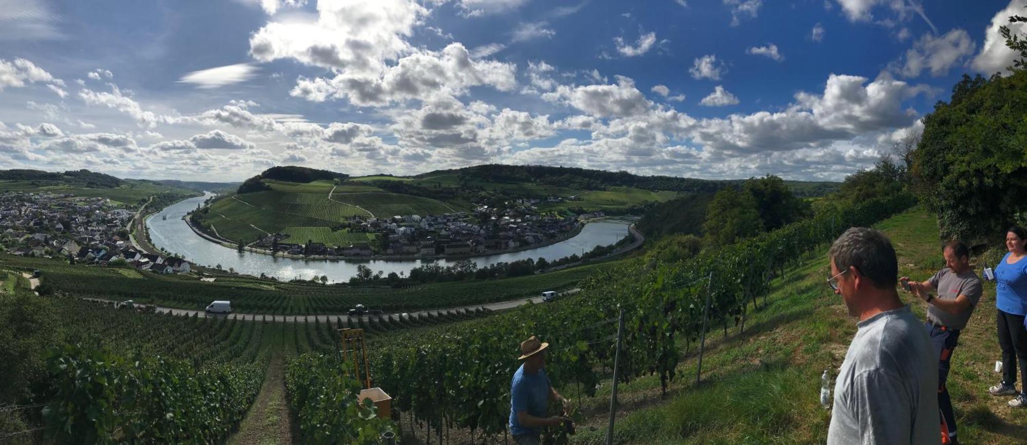 Gastehaus Und Weingut Bernd Frieden Ξενοδοχείο Nittel Εξωτερικό φωτογραφία