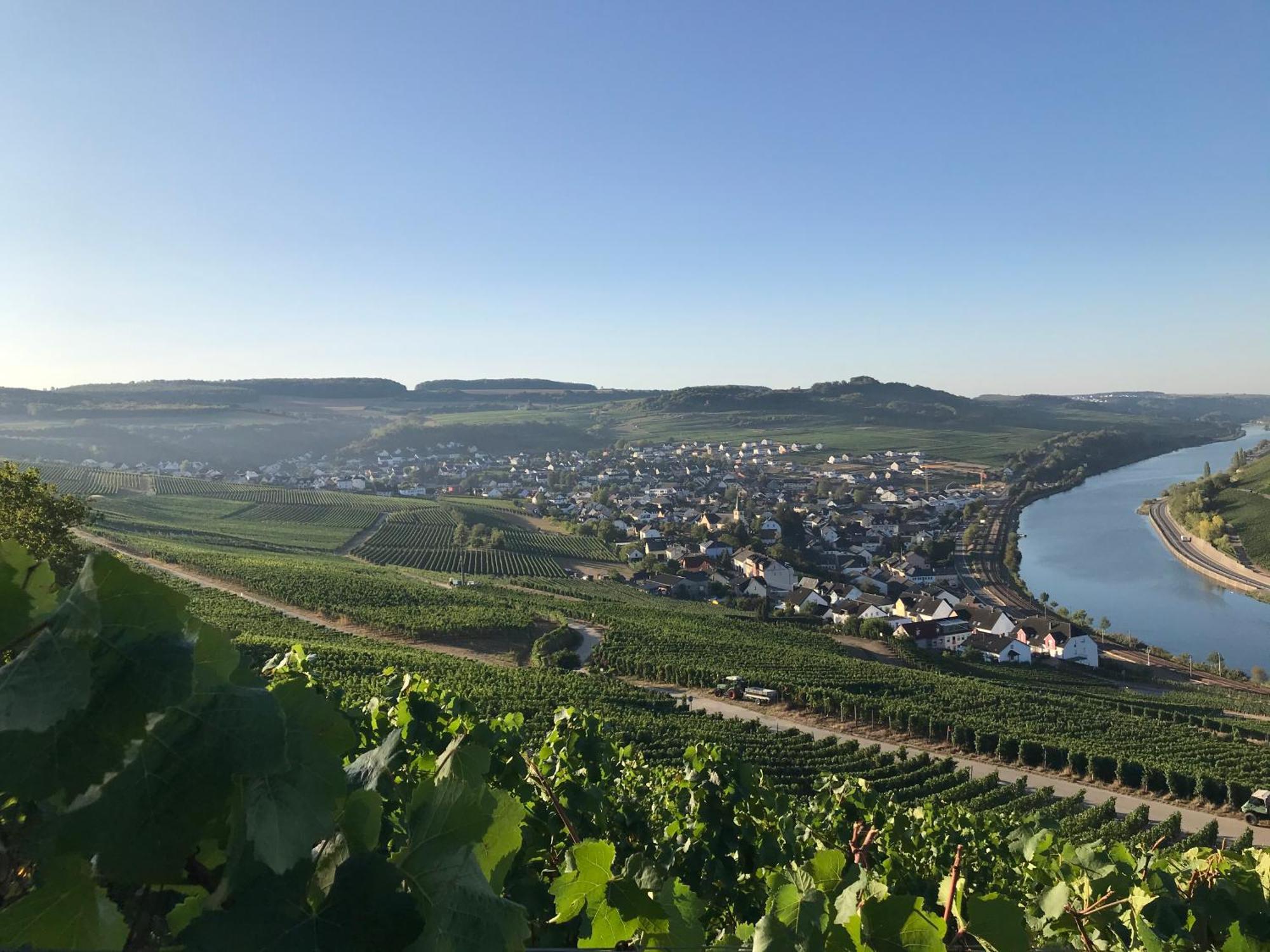 Gastehaus Und Weingut Bernd Frieden Ξενοδοχείο Nittel Εξωτερικό φωτογραφία