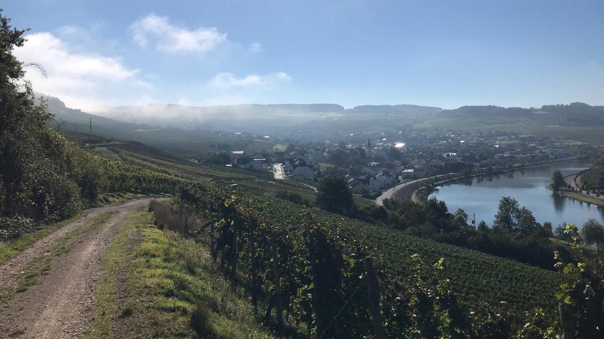 Gastehaus Und Weingut Bernd Frieden Ξενοδοχείο Nittel Εξωτερικό φωτογραφία