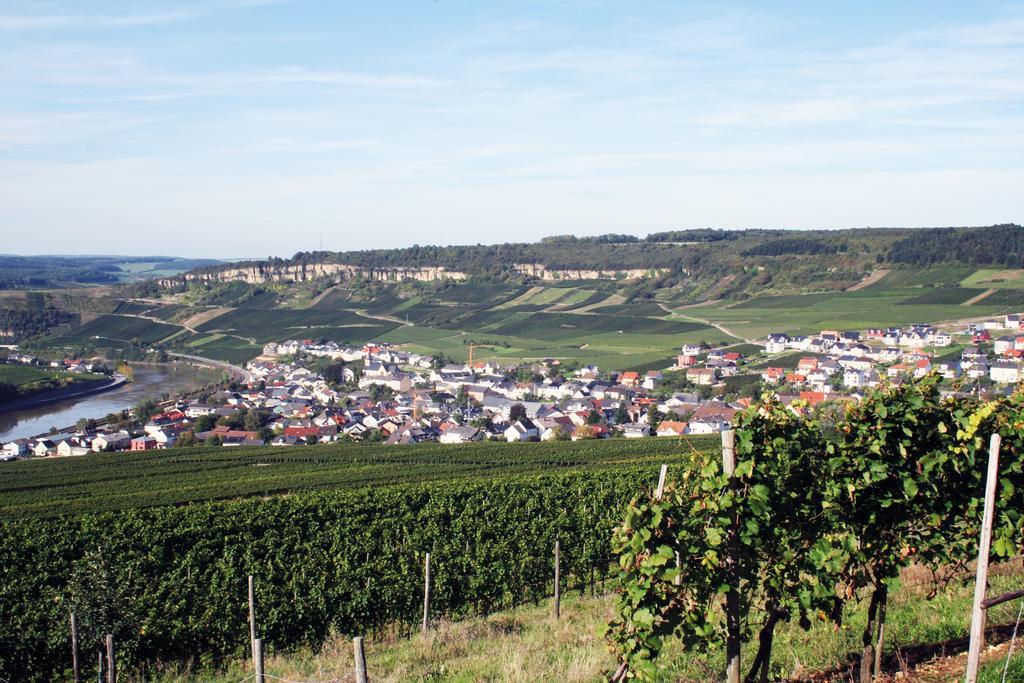 Gastehaus Und Weingut Bernd Frieden Ξενοδοχείο Nittel Εξωτερικό φωτογραφία